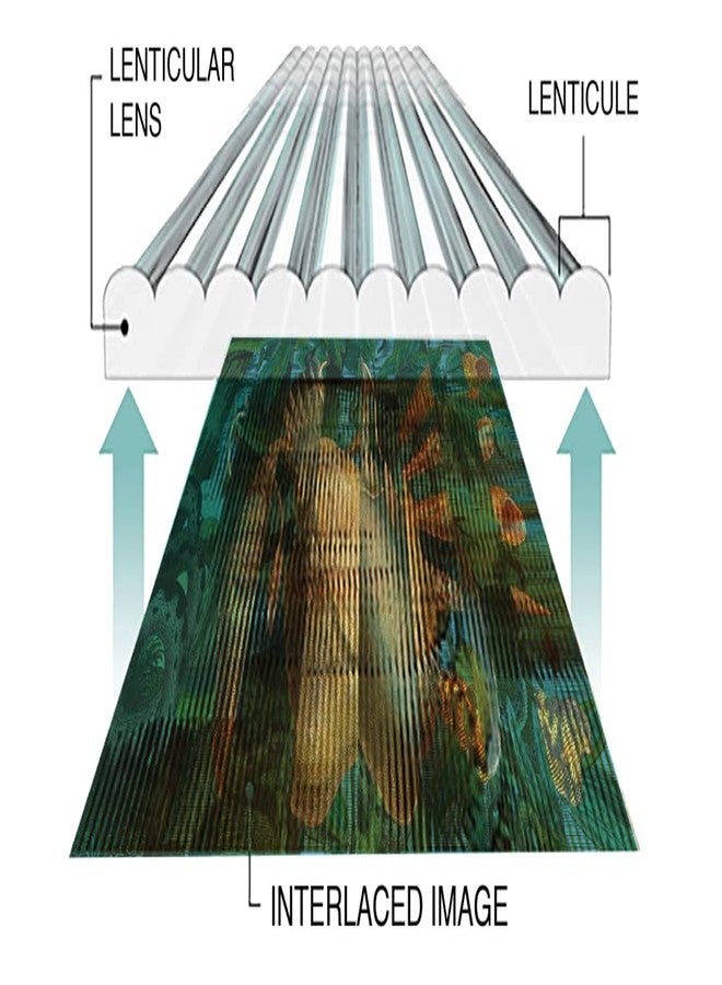 OWLHAUS Lenticular Sheet 17"x13", 100LPI (Pack of 5) - Transparent Lenticular Lens Sheet Blanks, Portrait, for Magic Tricks, 3D/Morph/Zoom/Animation/Flip-Image Printing, Optical Illusion, Invisibility Shield - Image 4